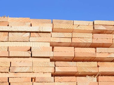 Sörf tahtalarını dizer