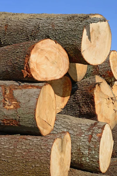 Voorbereiding Hout Opslag Een Industrieel Landschap — Stockfoto