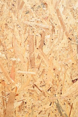 나무의 눌러진된 폐기물에서 접시의 조각