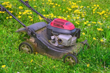 lawn mower with grass on green meadow
