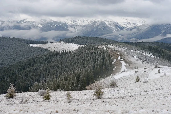 Hermoso Paisaje Con Árboles Cubiertos Nieve Las Montañas — Foto de Stock