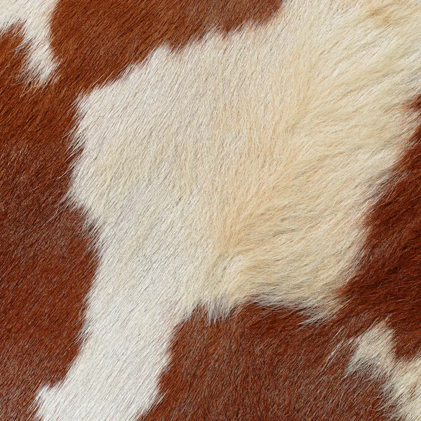 Closeup Του Φυσικού Δέρματος Αγελάδας — Φωτογραφία Αρχείου