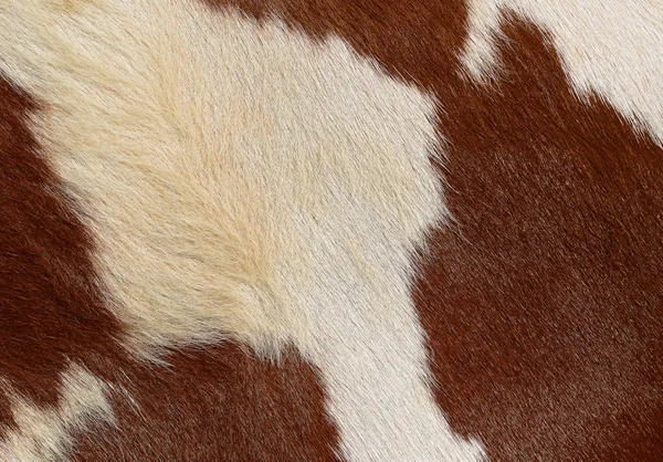 Closeup Natural Cow Skin — Zdjęcie stockowe