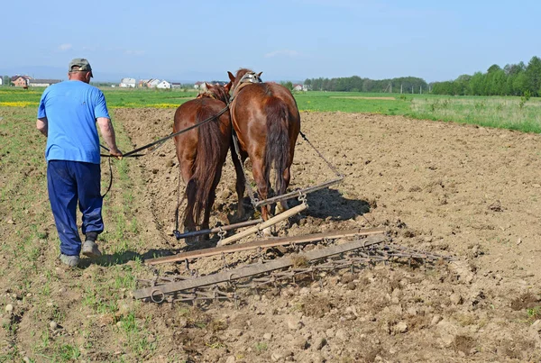 Pihentetés Tavaszi Mező Mellett Egy Kézi Dugó Lovas — Stock Fotó