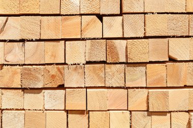 Sörf tahtalarını dizer