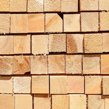 Sörf tahtalarını dizer