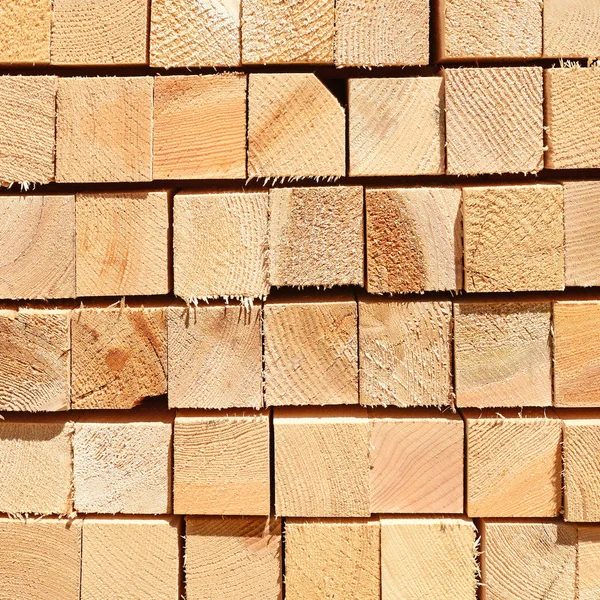 Sörf tahtalarını dizer