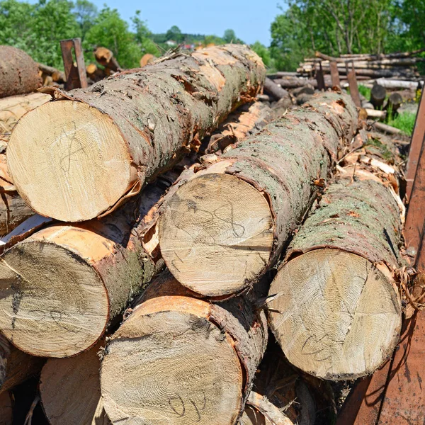 Fond Bois Chauffage Empilé Gros Plan — Photo