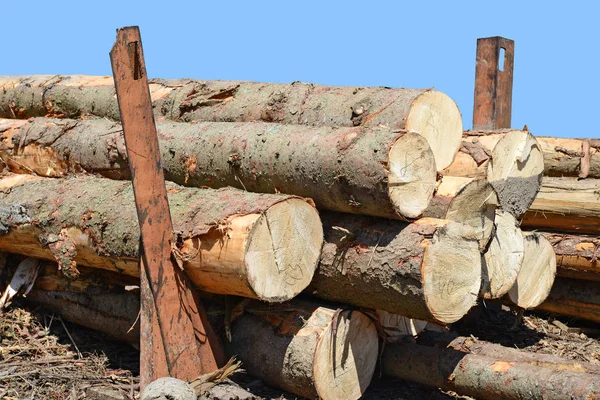Background Stacked Firewood Closeup — Photo
