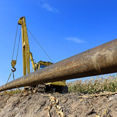 pipelayer machine at work. Pipe in the field