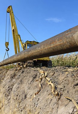 pipelayer machine at work. Pipe in the field