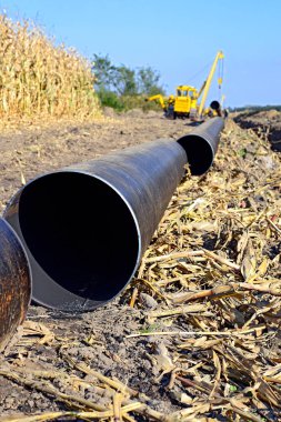 pipelayer machine at work. Pipe in the field