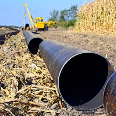 pipelayer machine at work. Pipe in the field