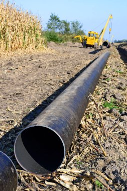 pipelayer machine at work. Pipe in the field
