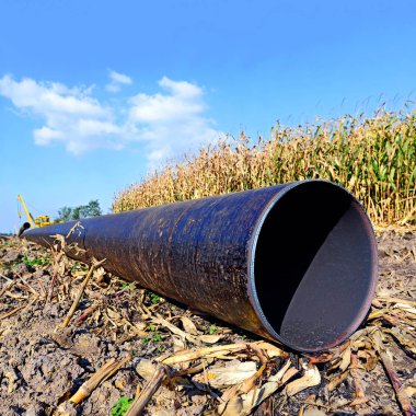 pipelayer machine at work. Pipe in the field
