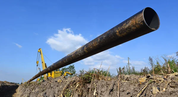 Pipelayer Machine Work Pipe Field — 图库照片