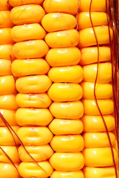 Close View Ripe Corn Cob — Stock Photo, Image