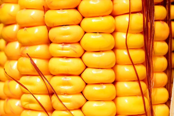 Close View Ripe Corn Cob — 图库照片