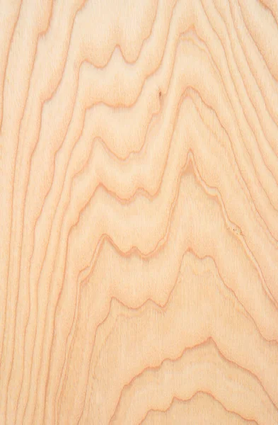 Fragment Wooden Panel Hardwood — Stock Photo, Image