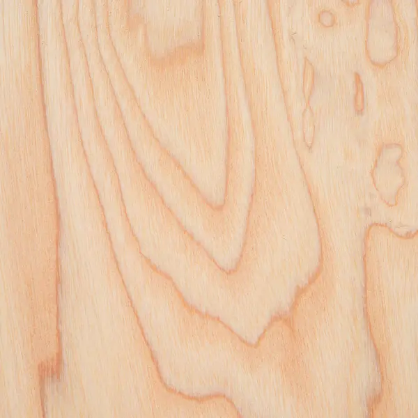 Fragment Wooden Panel Hardwood — Stock Photo, Image