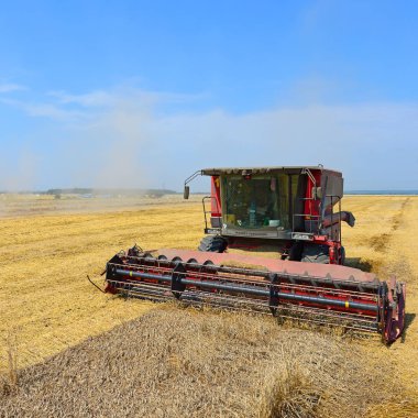 combine harvester working at wheat field, harvesting in the countryside