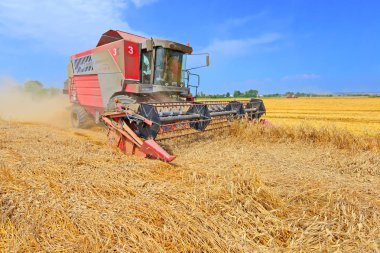 combine harvester working at wheat field, harvesting in the countryside