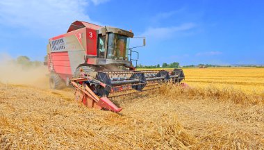 Buğday tarlasında çalışan hasatçıyı birleştirin, kırsal alanda hasat yapın.