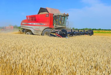 Buğday tarlasında çalışan hasatçıyı birleştirin, kırsal alanda hasat yapın.