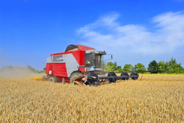 Buğday tarlasında çalışan hasatçıyı birleştirin, kırsal alanda hasat yapın.