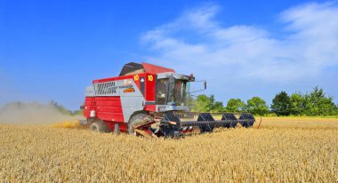 combine harvester working at wheat field, harvesting in the countryside