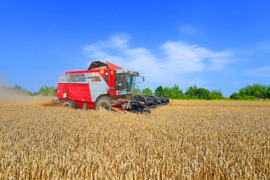 Buğday tarlasında çalışan hasatçıyı birleştirin, kırsal alanda hasat yapın.