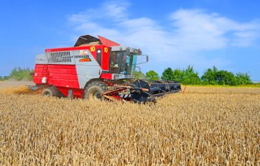 combine harvester working at wheat field, harvesting in the countryside