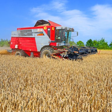combine harvester working at wheat field, harvesting in the countryside