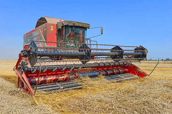 Combine Harvester Working Wheat Field Harvesting Countryside — Photo