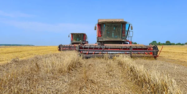 Combine Harvesters Working Wheat Field Harvesting Countryside — Stock Fotó