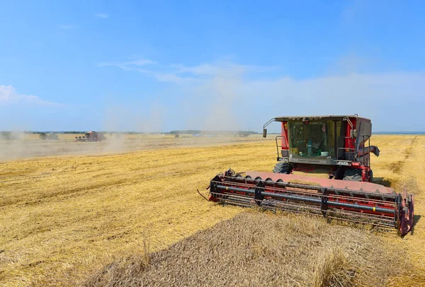 Combine Harvester Working Wheat Field Harvesting Countryside — Stock Fotó