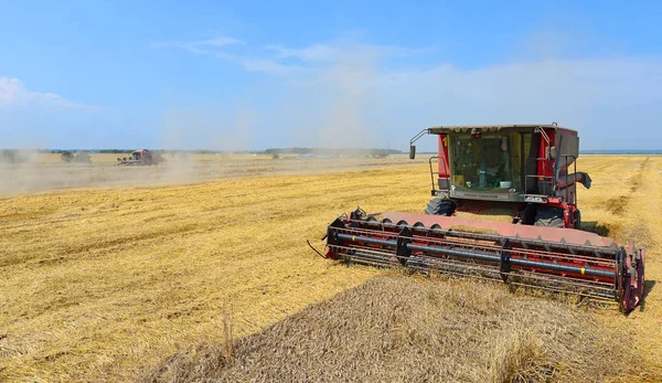 Combine Harvester Working Wheat Field Harvesting Countryside — Stock Fotó