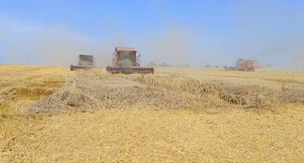 Mähdrescher Bei Der Arbeit Auf Dem Weizenfeld Ernte Auf Dem — Stockfoto