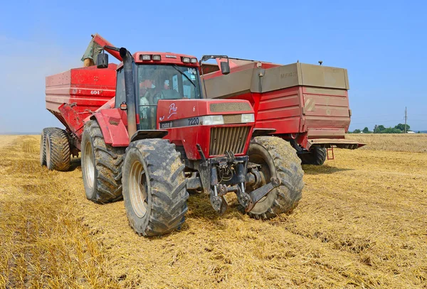 Túlterhelés Gabona Kombájn Gabona Tartályba Traktor Pótkocsi — Stock Fotó