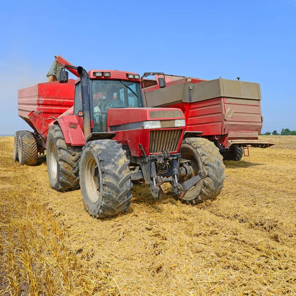 Överbelastning Korn Skördare Korn Tanken Traktor Släp — Stockfoto