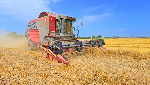 Combinare Mietitrebbia Che Lavora Nei Campi Grano Raccolta Campagna — Foto Stock