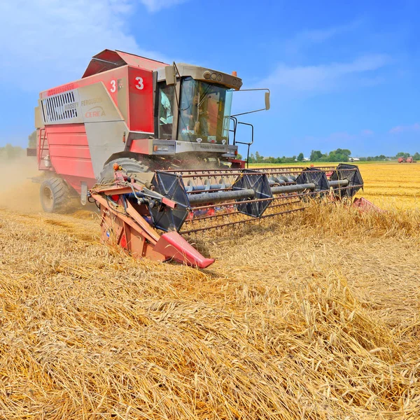 Buğday Tarlasında Çalışan Hasatçıyı Birleştirin Kırsal Alanda Hasat Yapın — Stok fotoğraf