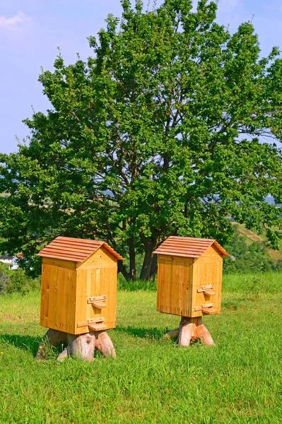 Bee Hives Summer Landscape — 스톡 사진