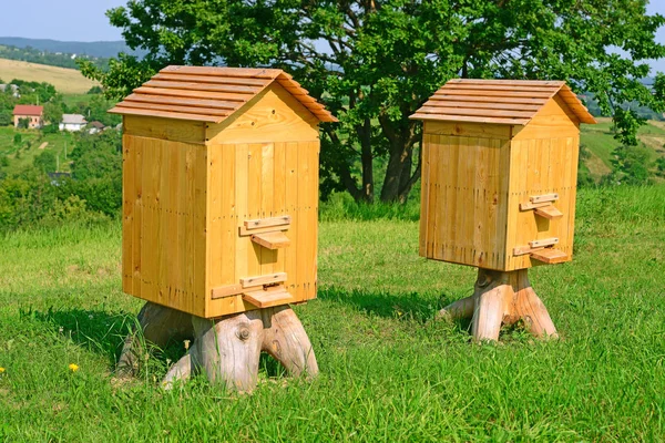 Bee Hives Summer Landscape — 스톡 사진