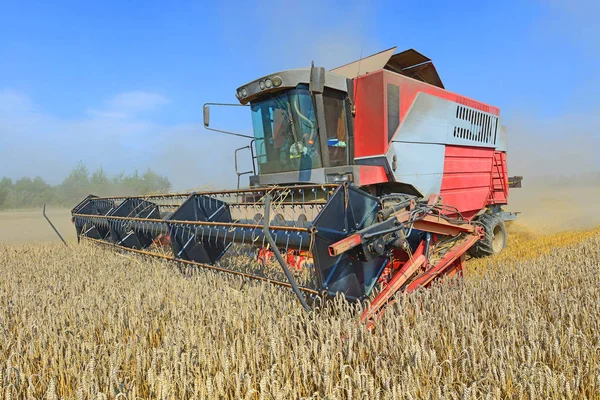 Combine Harvester Working Wheat Field Harvesting Countryside — Fotografia de Stock