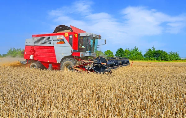 Combine Harvester Working Wheat Field Harvesting Countryside — Photo
