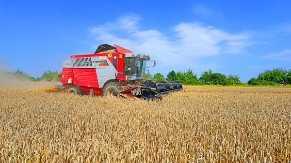 Mähdrescher Bei Der Arbeit Auf Dem Weizenfeld Ernte Auf Dem — Stockfoto