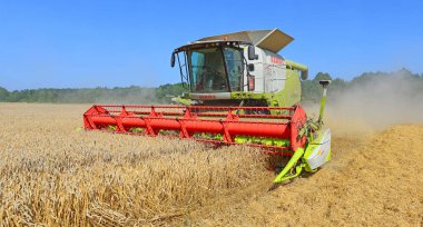 combine harvester working at wheat field, harvesting in the countryside