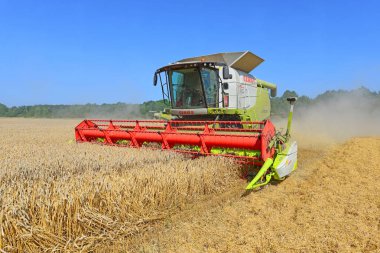 combine harvester working at wheat field, harvesting in the countryside
