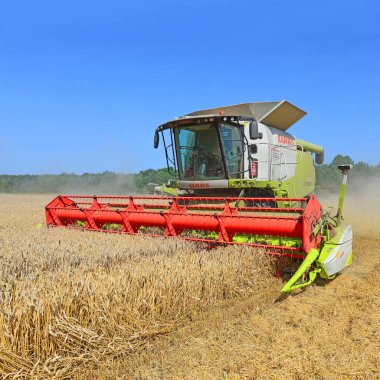 combine harvester working at wheat field, harvesting in the countryside
